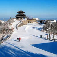 Book Kedarnath Holiday Tour Packages